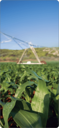 KOBLiK series IS irrigation systems